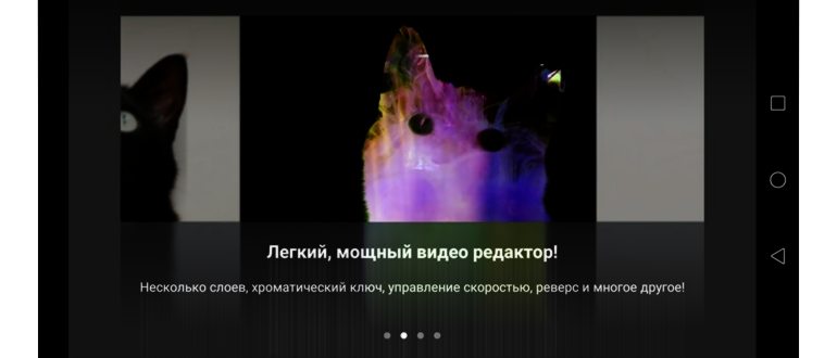 рил1