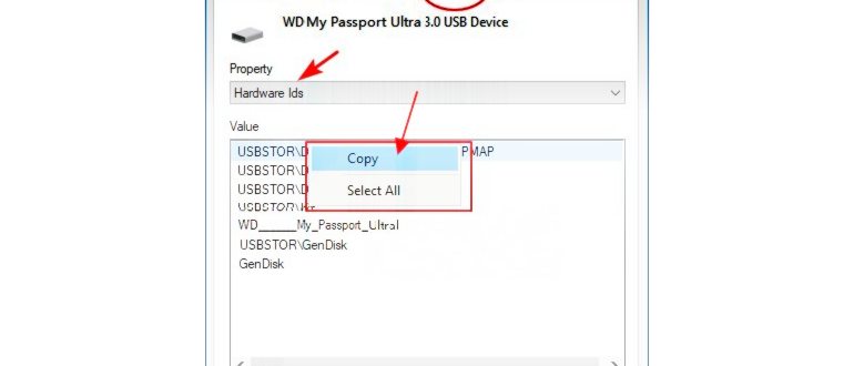 Update WD device
