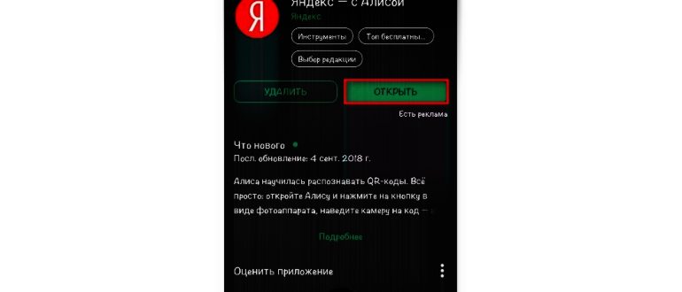 Найти Алису в плэй