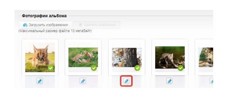 Удаление URL в