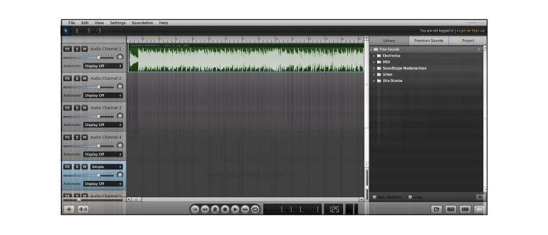 Bearaudio