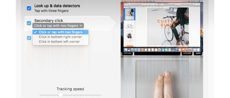 Audio Hijack: запись звонков Zoom, Skype и