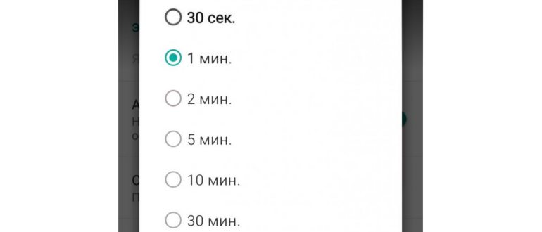 Лупа