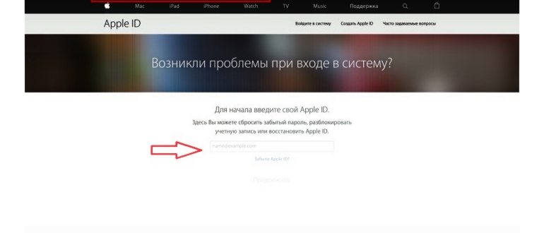 Обращение в службу