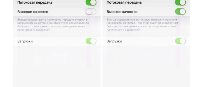 Верхняя часть передней панели iPhone с кнопками