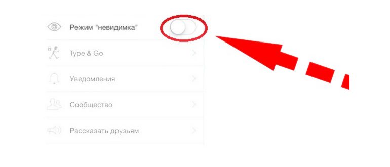 Невидимка в