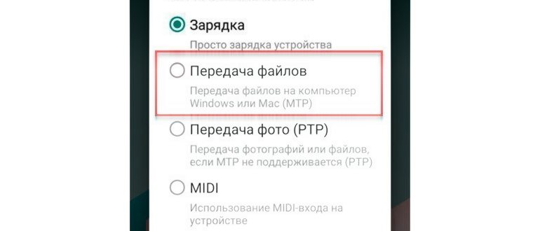 Проводник