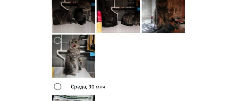 Поиск