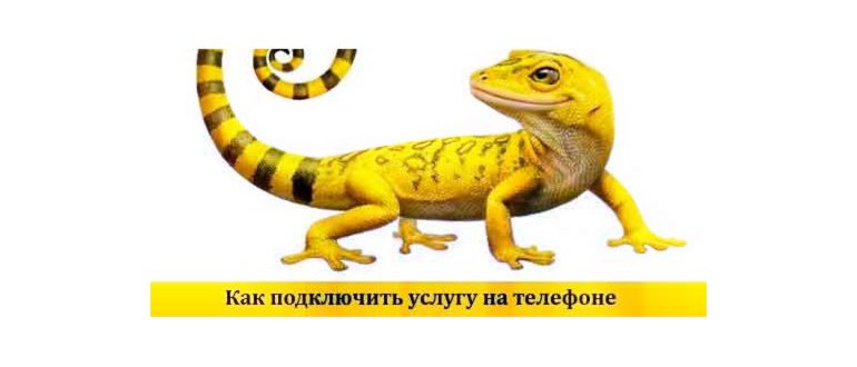 Услуга хамелеон на билайне что