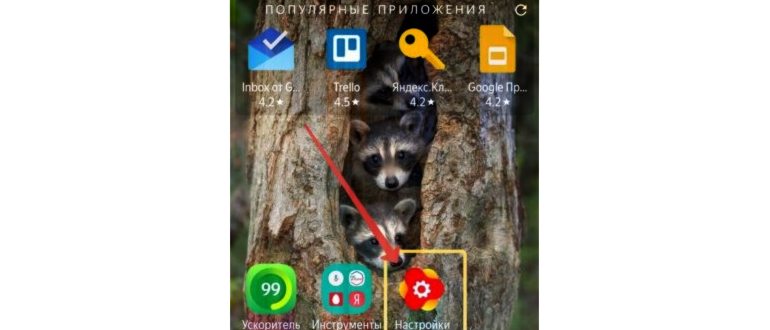 Как вывести Алису на главный