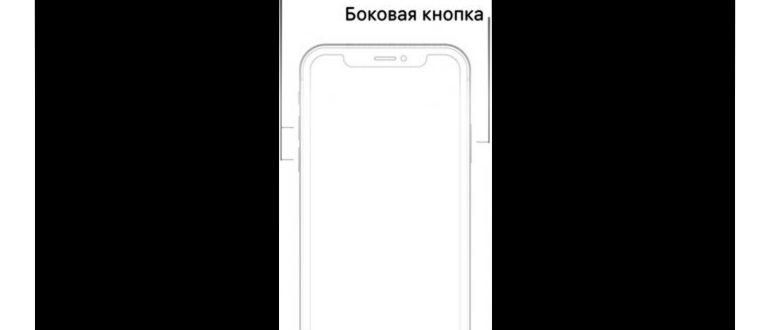 Как перезагрузить Айфон