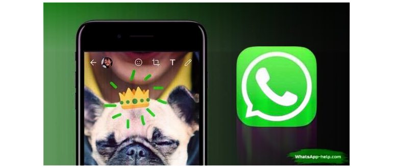 Как выделить текст в WhatsApp красным: подробная инструкция