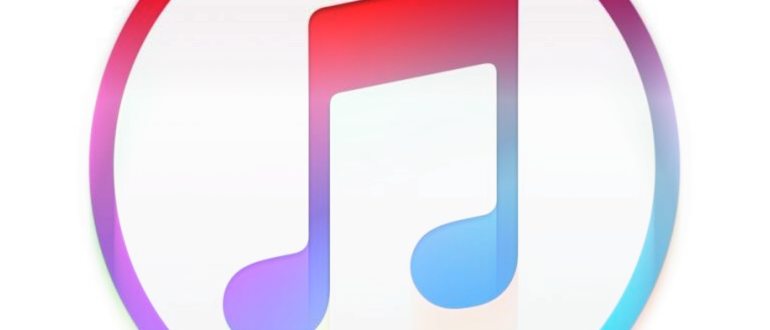 Где хранится купленная музыка на iPhone: узнайте, в какой папке хранятся песни и альбомы