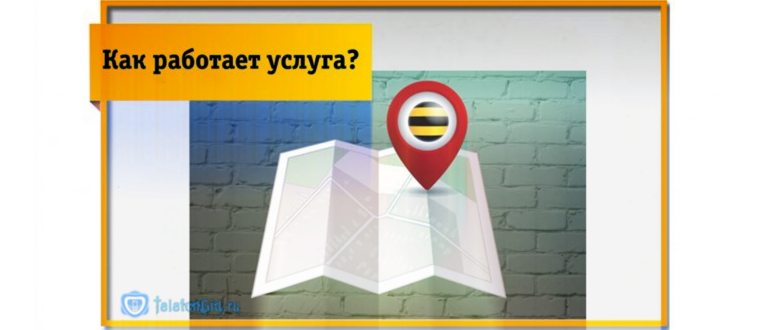 локатор