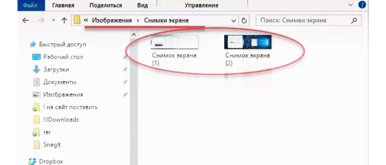скриншот в Windows