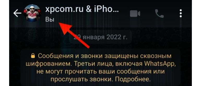камера ватсап