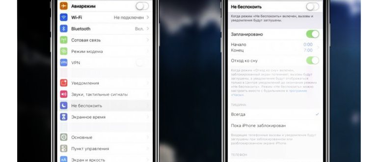 https://im0-tub-ru.yandex.net/i?id