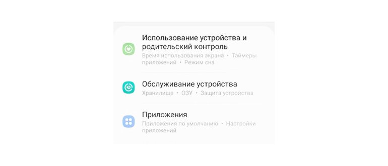Root