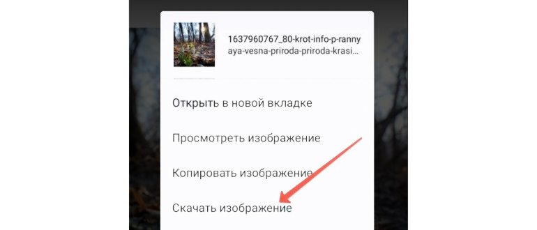 редактирование