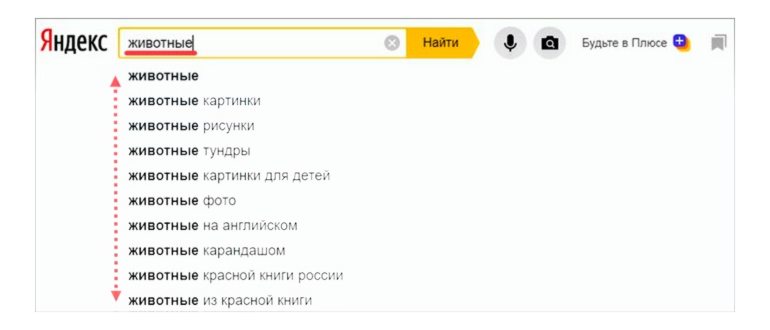 Яндекс Картинки: полный гайд по