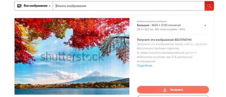 registraciya1