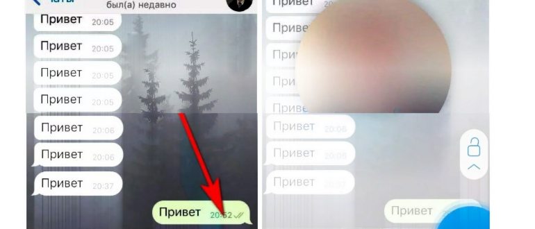 Как в Телеграмме записать видео в кружочке —