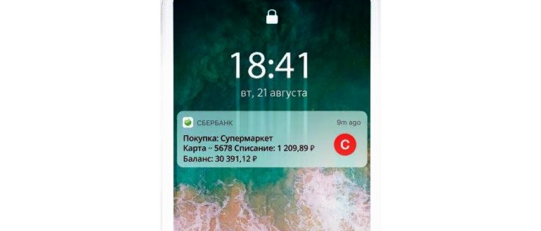 Что такое push уведомления в Сбербанк