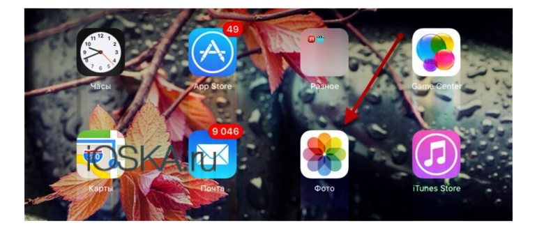 Как на iPhone 14/13/12/11/X/8 обрезать