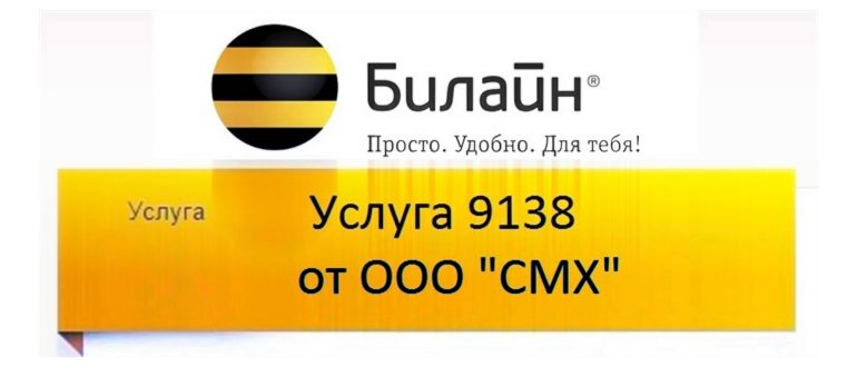 Услуга 9138 ООО