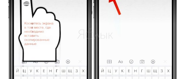 Как на iPhone и iPad копировать, вырезать и