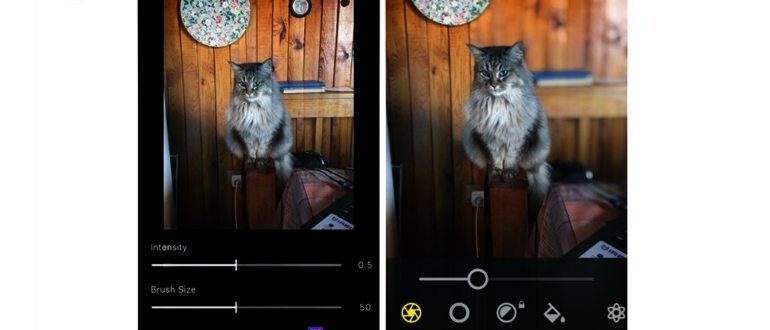 ТОП-5 приложений на iPhone для качественного