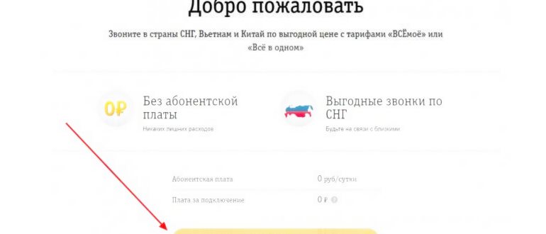 Услуга
