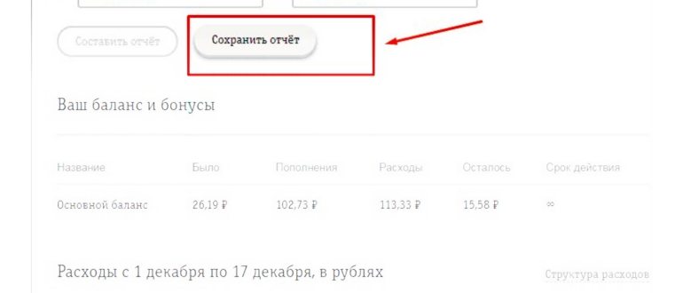 Заказ детализации звонков на