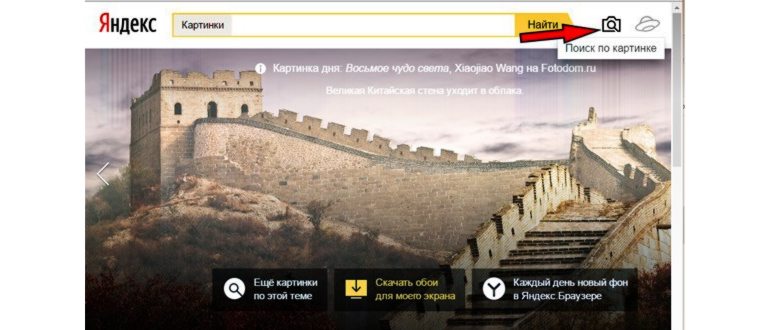 Поиск по