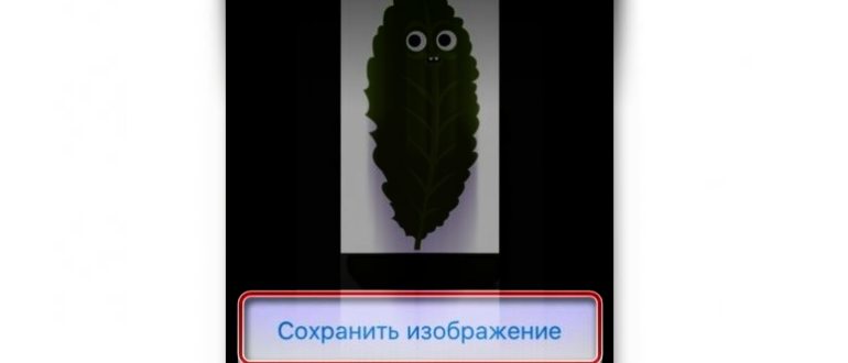 Нажмите на три точки у гифки в Телеграмме на