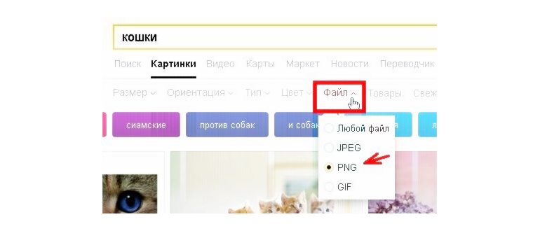 Яндекс Картинки: полный гайд по
