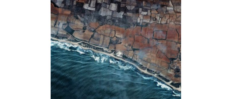 Можно выбрать прямоугольную поисковую