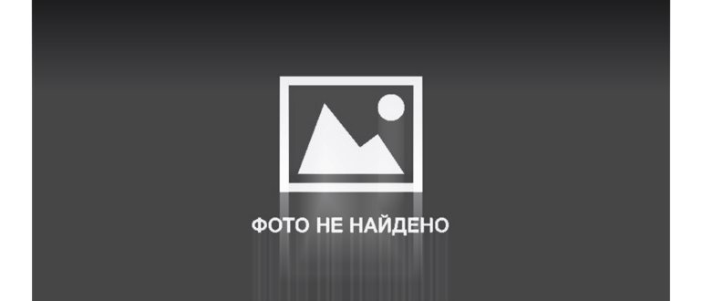 запуск поиска по картинкам через