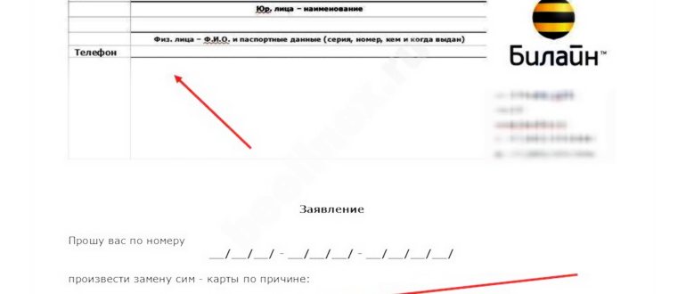 Сколько стоит сим карта