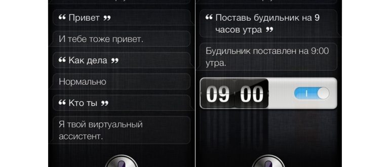 Основные