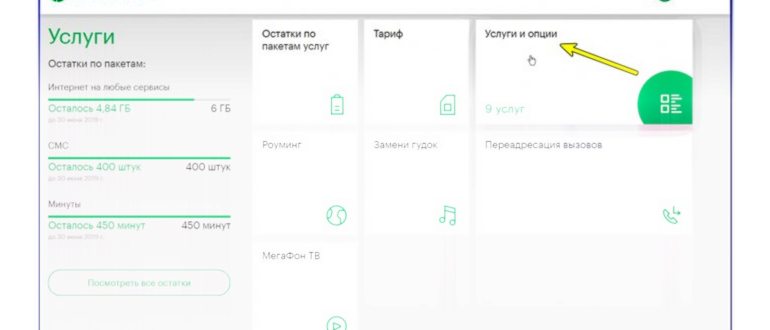 Подписка MyBook Премиум на 3