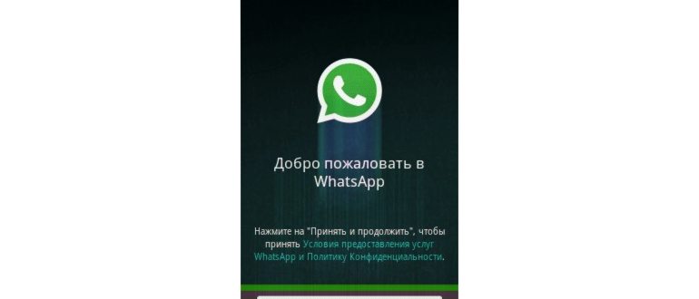 Сроки хранения переписки на